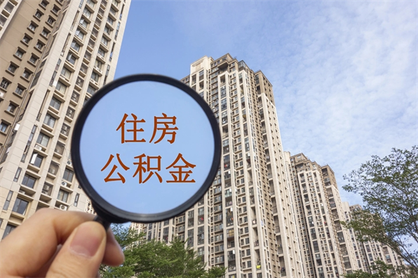 成都辞职多久公积金可以全部取出来吗（辞职之后公积金多长时间可以取）